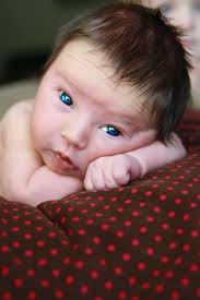 Vtg antique composition baby mama doll crier blue glass eyes hard body works. Newborn Baby With Blue Eyes And Brown Hair Newborn Baby