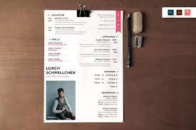 The europass cv builder makes it easy to create your cv online. 30 Best Cv Resume Templates 2021 Theme Junkie