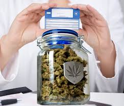 At this time, insurance companies do not cover medical marijuana. How Does European Health Insurance Handle Medical Marijuana Prescriptions