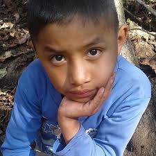 Trump puts blame for child deaths at border