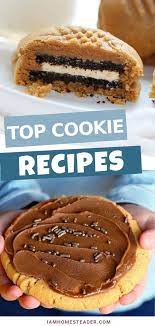Top 20 Cookie Recipes Cookie Recipes Best Homemade Cookie Recipe Easy Cookie Recipes