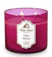 Candle melts consistently & evenly, radiating enough fragrance to fill an entire room, with a bath & body works direct, inc. Bath Body Works White Barn Cactus Blossom Scented Candle 14 5 Oz 411 G Fruugo No
