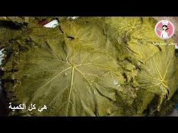تخزين و حفظ ورق العنب على الطريقة التركية ب 4 طرق مختلفة سهلة و ناجحة 100 لاكثر من سنة youtube cooking recipes cooking painting