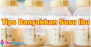 Posted by unknown at 01:04 no comments susu badan mulai mengering & cair ?? Petua Banyakkan Susu Ibu Kucing Archives Harga Set Bersalin Shaklee Premium