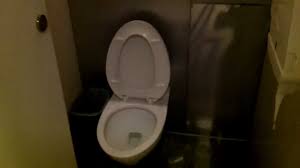 The preferred airport for ac hotel by marriott san juan condado is luis munoz marin intl. Restroom At Beijing International Airport China Youtube