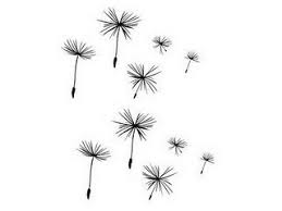 100% kostenlos online 3000+ serien. Dandelion Seeds Blumen Wandtattoos Lowenzahn Wandtattoo Lowenzahn
