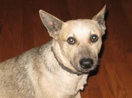 I can't get over how pretty she is!! . .