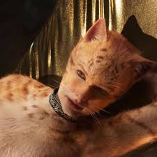 Download Cats Review A Deep And Inscrutable Movie Vox