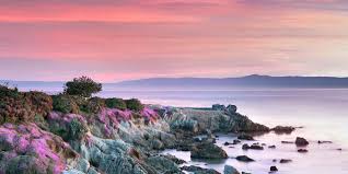 How far apart is sacramento from san jose? Spotlight Monterey Carmel Visit California