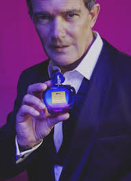 Perfumerías Fetiche S.A.