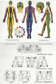 Bodymapping Acupuncture Chart