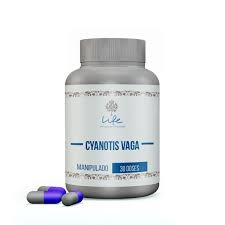 Image result for Cyanotis vaga