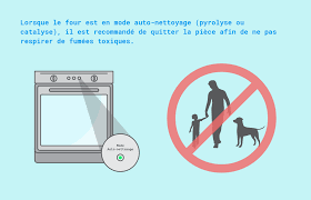 Comment Bien Nettoyer Un Four Adepem