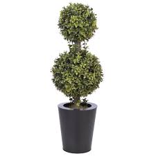 We have a wide variety of choices for outdoor topiary plants some with the option of. Topiary Trees For Sale Ideas On Foter