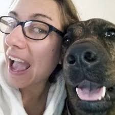 Customer Testimonials