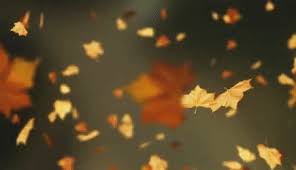 Animated falling leaves background gif. Falling Autumn Leaves Background Gif Gfycat