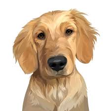 Custom Illustrated Pet Portraits Free Custom Illustrated Pet Portraits Dog  Portraits Custom Pet Portrait Custom Pet Cartoon Cat Pet Portraits Sears