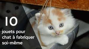 Fabriquer Des Jouets Pour Chat Jouet Pour Chat Jouet Pour Chaton Astuces Pour Chat