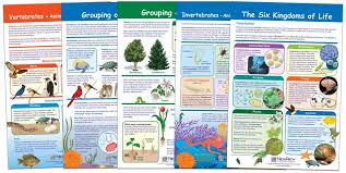 Six Kingdoms Of Life Chart Set 5 Charts