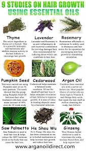 The good thing about them is that they can be grown in your kitchen garden or as window sill plants. Pin By Yerusha Dujon On Hairstyles Joni Oil For Hair Loss Hair Growth Oil Essential Oils For Hair