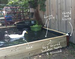 One way is to dig out an area next to the pond and add an additional liner and pump for the bog. How To Build A No Dig Backyard Pond For Under 70 Hawk Hill