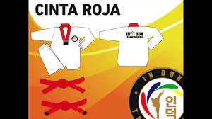 An's taekwondo mèxico a.c.‏ @anstaekwondomex 20. Significado De Las Cintas Y Grados En In Duk Taekwondo Youtube