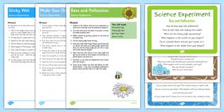 This is a great activity for adults with special needs. Minibeast Themed Fun Science Experiments Pack Teacher Made
