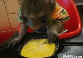 Chicken nugger is a misspelling of chicken nuggets originally found on a restaurant menu along with french fried (french fries) and sweer potato (sweet potato). 13 Things Eternally Late People Know To Be True Healthy Soup Recipes Monkeys Funny Eating Gif