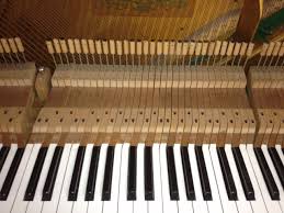 musil0723.sakura.ne.jp