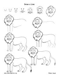 How to draw a lion easy step by step for beginners. Learn About Drawing Animals From Exploringnature Org Animal Drawings Lion Drawing Easy Animal Drawings