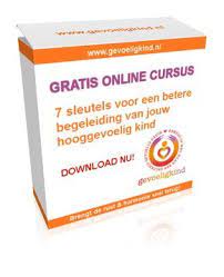 Hooggevoelig Kind Begeleiden Begeleiding Kind