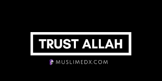 They make evil plans but god too plans and god's plans are the best. Trust In Allah Chapter 11 By Muslim Edx Medium