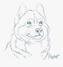 Husky coloring pages in a4 format for children of any age. Cool Cute Husky Coloring Pages Siberian 14824 Realistic Husky Coloring Page Free Transparent Clipart Clipartkey