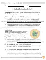 Meiosis results in formation of four daughter cells from a single mother cell in each cycle of cell division. Layma Genetics 12a Simulating Meiosis Gizmo Pdf Name Date Student Exploration Meiosis Vocabulary Anaphase Chromosome Crossover Cytokinesis Diploid Course Hero
