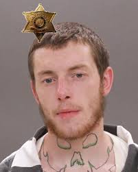 Wellsville Regional News (dot) com: I-390 stop nets two Allegany County men  with 120 bags of heroin and over 50 bags of crack