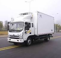 Isuz 8 Ton Refrigerator Truck - Reefer Truck, Fridge Truck ...