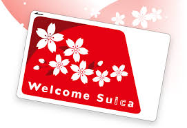 Gato preto, gato gatinho suiças felidae, decalque da parede, ângulo. Welcome Suica Jr East