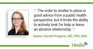 Image result for Partner Violence Screen