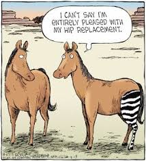 Hip Replacement Msnbc Just Showed That A Hip Replacement In The Us Costs Over 36k In Belgium 4200 When My Frie Hip Replacement Golf Humor Medical Humor