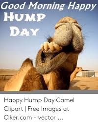 Hump day camel meme pictures, photos, and images for. Mike Hump Day Camel Meme