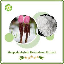 Image result for Podophyllotoxin