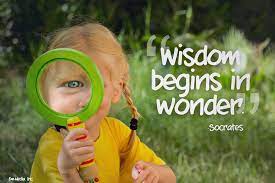 Quote Wisdom Begins In Wonder By Rabidbribri On Deviantart
