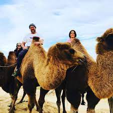 'that's your very own humph that you've brought upon your very own self by not working. Mongolia Part 2 Among Riders Nomadic Edventures
