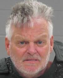 Milledgeville Man accused of stabbing mother, two dogs to death