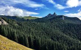 Cel mai înalt pisc este vârful rarău, având 1651 m. Alpiniada Traseu Circuit Spre Pietrele Doamnei Din Masivul RarÄu