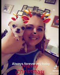 Oct 10 I lost my pongo he was 11 I’ve had him since he was born and before  my very own children were born. Essentially he was my first child . I found  out he had congestive heart failure and within a ...