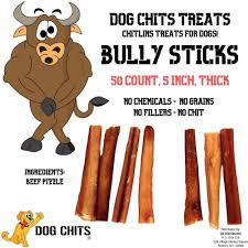 Are Bully Sticks Dangerous 6 Things Every Dog Owner Needs To Know Dog Chits Pet Products