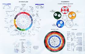 Touch For Health Chinese 5 Element Metaphors Chart