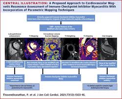 Myocarditis is an uncommon disorder. Myocardial T1 And T2 Mapping By Magnetic Resonance In Patients With Immune Checkpoint Inhibitor Associated Myocarditis Sciencedirect