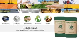 Taman bangi avenue, 43000 kajang, selangor, malaysia. Hydrated Lime Malaysia Milk Of Lime Cao Industries